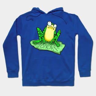 Monday Mood Frog Hoodie